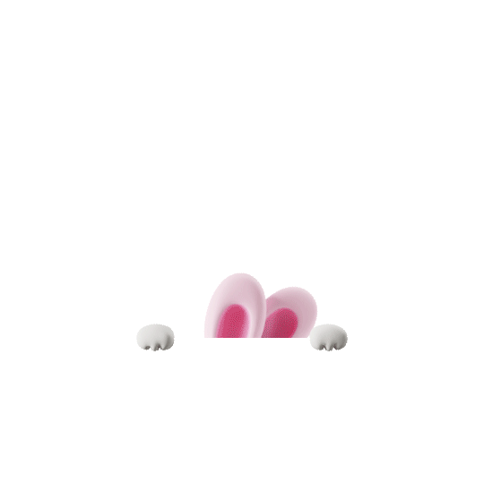 토끼 윙크